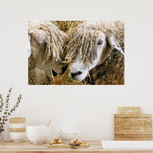 SCHAPEN POSTER (Keuken)