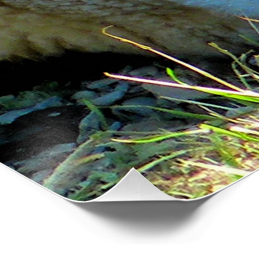 SCHAPEN POSTER (Hoek)