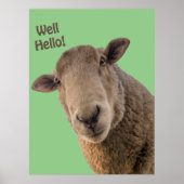 Schapen Poster (Voorkant)