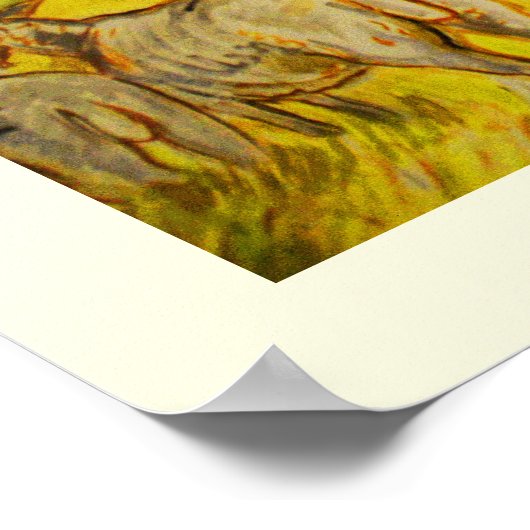 Schapen Poster (Hoek)