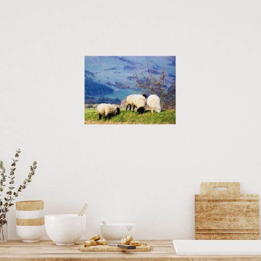 SCHAPEN POSTER (Keuken)