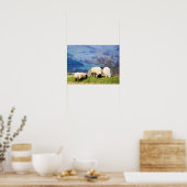 SCHAPEN POSTER (Keuken)