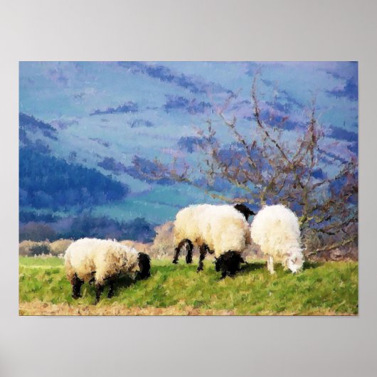 SCHAPEN POSTER (Voorkant)