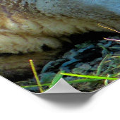 SCHAPEN POSTER (Hoek)