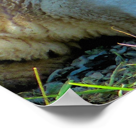 SCHAPEN POSTER (Hoek)