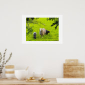 Schapen poster (Keuken)
