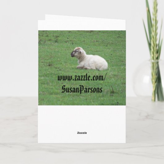 Schapen, Psalm, Vrede, Vreugde, Liefde Feestdagen Kaart (Achterkant)