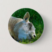 SCHAPEN RONDE BUTTON 5,7 CM (Voorkant)