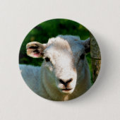 SCHAPEN RONDE BUTTON 5,7 CM (Voorkant)