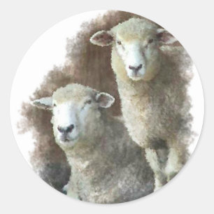 Schapen Ronde Sticker