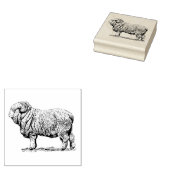  schapen rubberstempel (Gestempeld)
