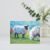 Schapen schilderen Zomerlicht Briefkaart (Staand voorkant)