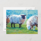 Schapen schilderen Zomerlicht Briefkaart (Voorkant / Achterkant)