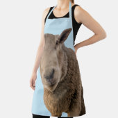 Schapen Schort (Insitu)