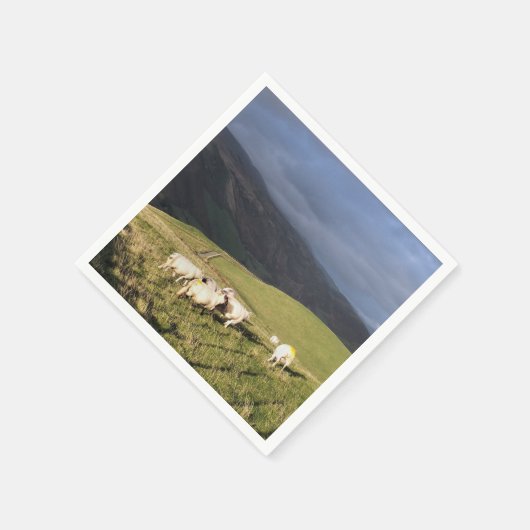 SCHAPEN SERVET (Hoek)