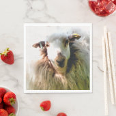 SCHAPEN SERVET (Insitu)