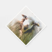 SCHAPEN SERVET (Hoek)