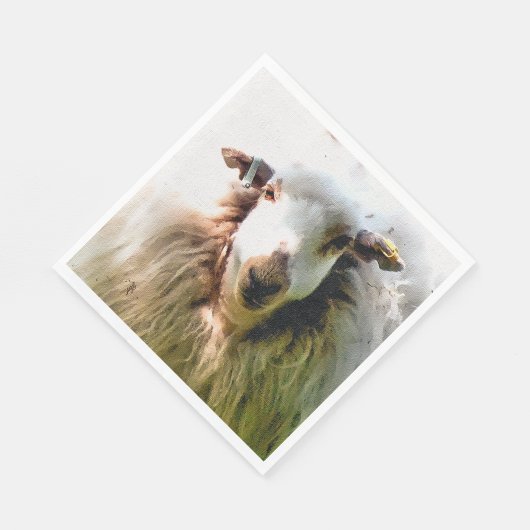 SCHAPEN SERVET (Hoek)