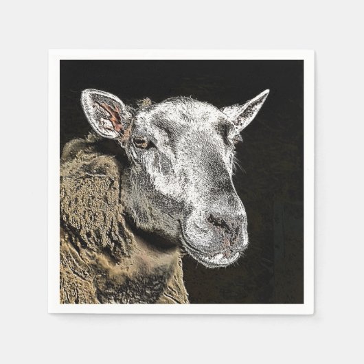 SCHAPEN SERVET (Voorkant)