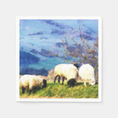 SCHAPEN SERVET (Voorkant)