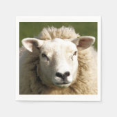 SCHAPEN SERVET (Voorkant)