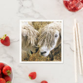 SCHAPEN SERVET (Insitu)