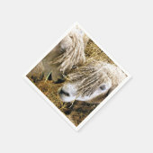 SCHAPEN SERVET (Hoek)