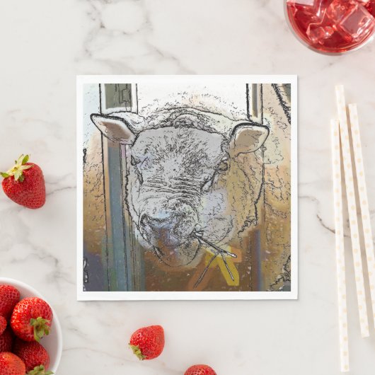 SCHAPEN SERVETTEN (Insitu)