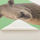 Schapen Sherpa Deken (3/4)