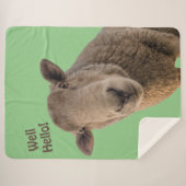 Schapen Sherpa Deken (Voorkant (horizontaal))