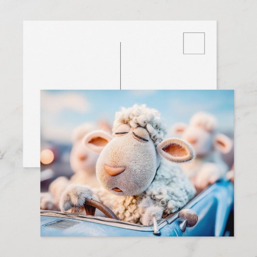 Schapen slapen op auto stuurwiel illustratie feestdagenkaart (Voorkant / Achterkant)