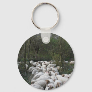 Schapen Sleutelhanger
