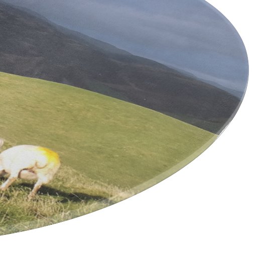 SCHAPEN SNIJPLANK (Hoek)