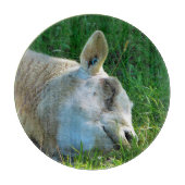 SCHAPEN SNIJPLANK (Voorkant)