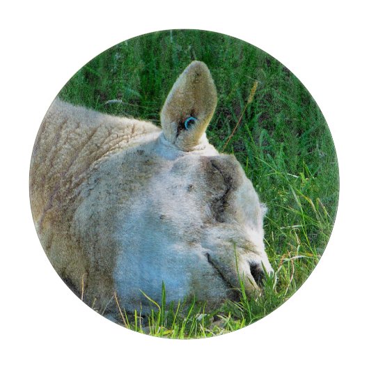 SCHAPEN SNIJPLANK (Voorkant)