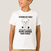 Schapen Storm Noord-Duitsland Noord-Zee Zee kust