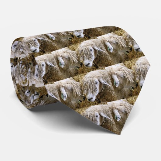 SCHAPEN STROPDAS (Opgerold)