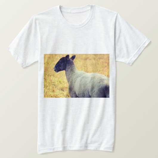 Schapen T-shirt (Design voorkant)