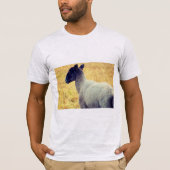 Schapen T-shirt (Voorkant)