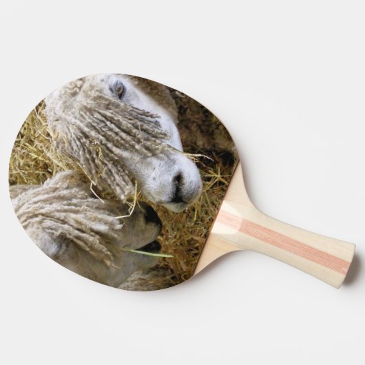 SCHAPEN TAFELTENNISBATJE (Zijkant)