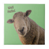 Schapen Tegeltje (Voorkant)