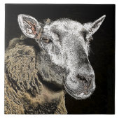 SCHAPEN TEGELTJE (Voorkant)