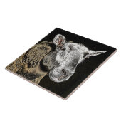 SCHAPEN TEGELTJE (Zijkant)