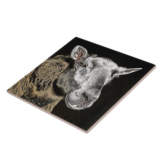 SCHAPEN TEGELTJE (Zijkant)