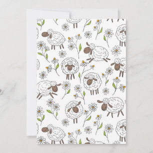 Schapen tellen op wit