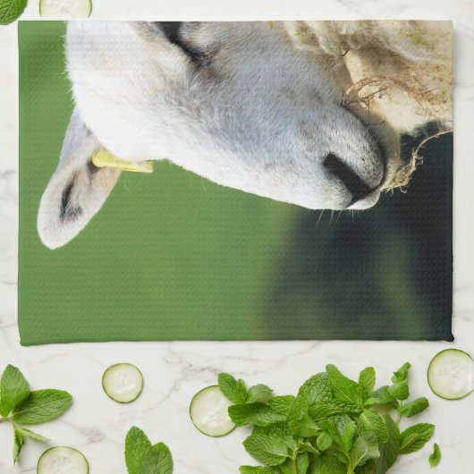 SCHAPEN THEEDOEK (Gevouwen)