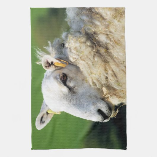 SCHAPEN THEEDOEK (Verticaal)