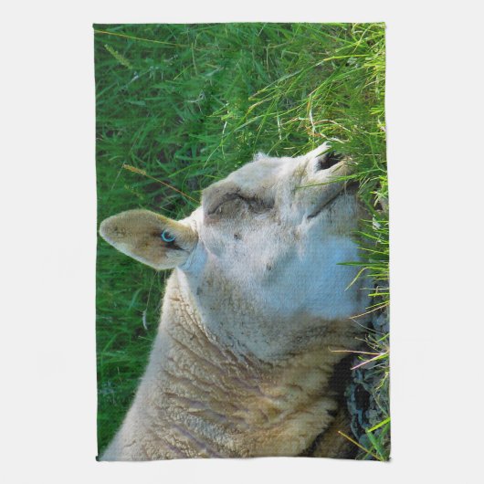 SCHAPEN THEEDOEK (Verticaal)