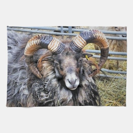 SCHAPEN THEEDOEK (Horizontaal)