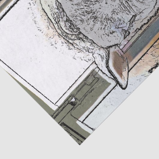 SCHAPEN TISSUEPAPIER (Detail)